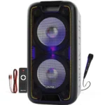 Enceinte de fête portable de la marque Dolphin, modèle SP-210RBT